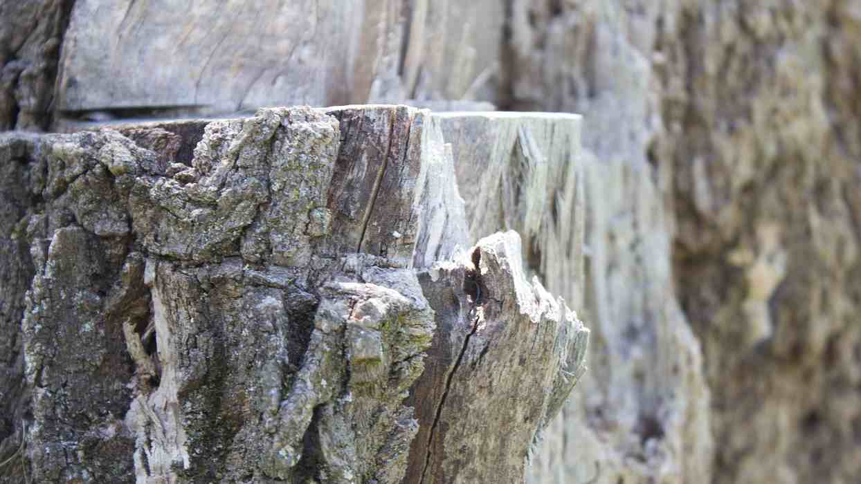  Buy The Latest Types of Weathered Rocks at a Reasonable Price 