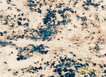 Bulk purchase of indian marble stone with the best conditions