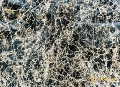 Bulk purchase of katni marble stone with the best conditions